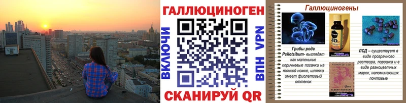 как найти закладки  Сальск  Галлюциногенные грибы Psilocybe 